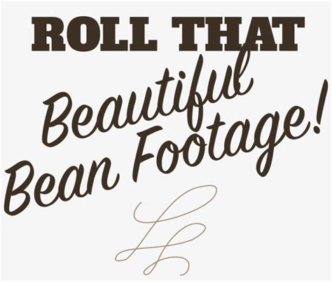 roll  beautiful bean footage bushs beans dog meme transparent png
