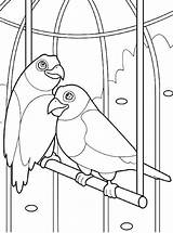 Papegaai Papagei Papegaaien Malvorlage Papageien Kleurplaten Persoonlijke Stimmen Ausmalbild sketch template