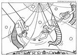 Circus Coloring Trapeze Pages Artists Themed Kids Color Sheets Cirque Circo Crafts Animals Search Google Artist Coloriage Carnival Hellokids Preschool sketch template