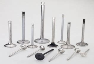 types  engine valves