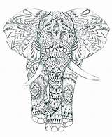 Pages Coloring Elephant Intricate Printable Getcolorings Comp Color Getdrawings sketch template