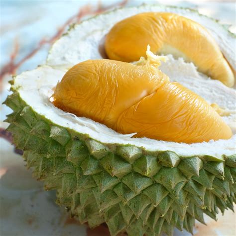 durian fruit kaufen tere fruit