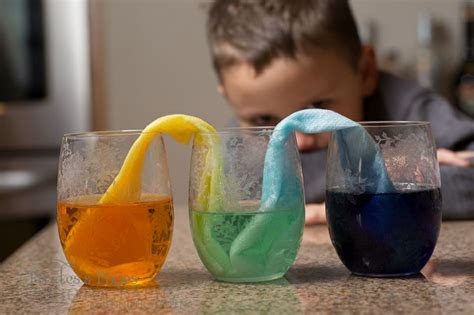 science activities  preschoolers