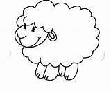 Sheep Coloring Pages Animals Zebra Turkey sketch template