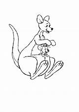 Kangaroo Kidspot sketch template