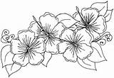 Coloring Pages Flowers Hibiscus Flower Hawaiian Kids Printable Sheets Choose Board Drawing sketch template