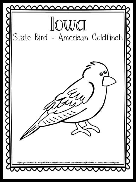 iowa state bird coloring page american goldfinch  printable