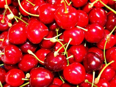 cherry red fruit   jpg format   easy  unlimit