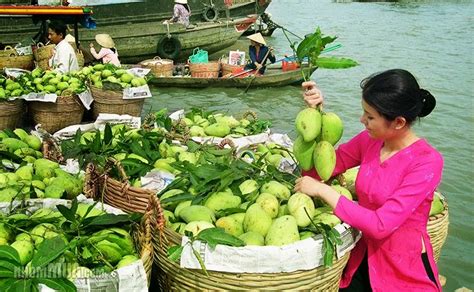 Discover Vietnam Tien Giang Province Vietnam Visa On