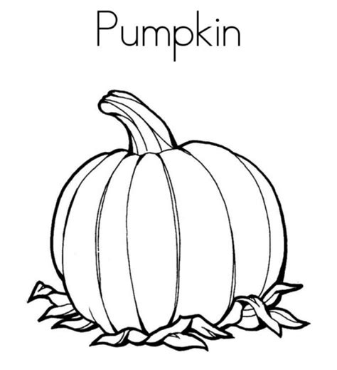 printable pumpkin coloring pages everfreecoloringcom
