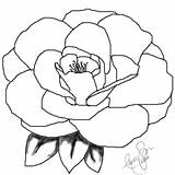 Camellia Coloring Designlooter sketch template