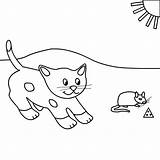 Cat Mouse Coloring Pages Printables Template sketch template