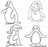 Banquise Pingouin Coloriage Imprimer Sur Info Danieguto sketch template