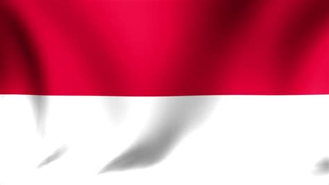Indonesia Flag Background Seamless Looping Stock Footage