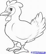 Hen Drawing Coloring Draw Fowl Guinea Step Pages Chicken Outline Paintingvalley Dragoart Sketch Drawings Template Visit Popular Library Clipart Collection sketch template