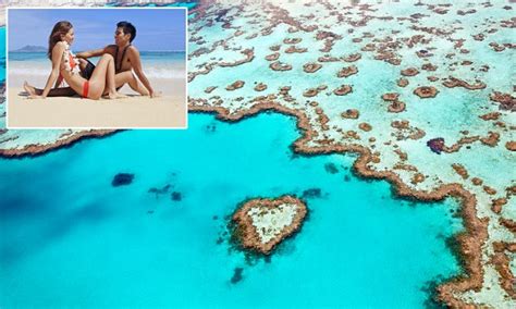 one in five australians have had sex on the beach daily