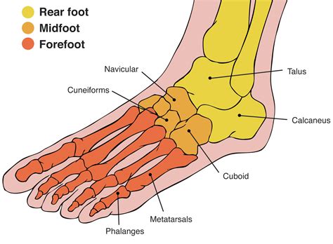 foot pain    kinetic chain
