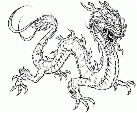 flying dragon adult coloring pages printable  dragon adult