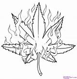 Coloring Pages Weed Popular Awesome sketch template
