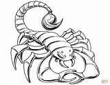 Scorpion Coloring Pages Drawing Prehistoric Scorpions Printable Cartoon Color Tail Simple Getdrawings Cool Print Inspired Categories sketch template