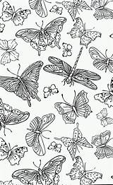 Kleurplaten Vlinders Dragonflies Volwassenen sketch template