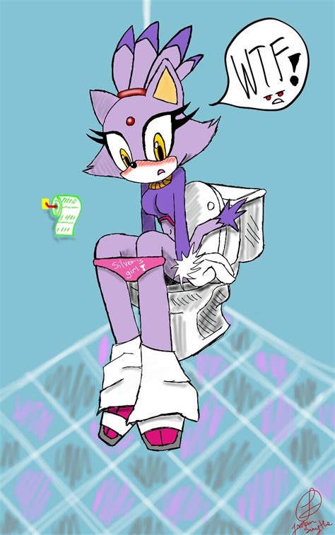 Blaze The Cat On A Toilet It Was A Request By