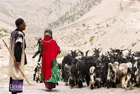 iranian tribes nomads persia advisor tribe persia nomad
