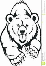Bear Grizzly Clipart Clipartmag Coloring Drawing Pages sketch template