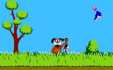 duck hunt flared blog