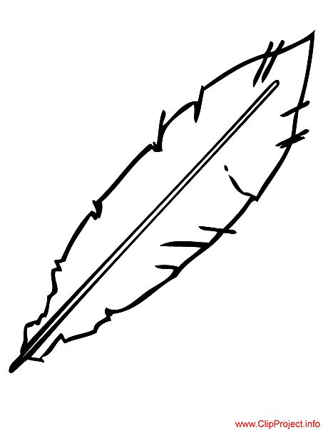 feather image  color  feather template coloring pages feather