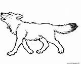 Wolf Coloring Pages Baby Printable Print Color Online Book sketch template