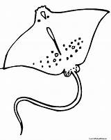 Stingray Coloring Pages Ray Drawing Printable Getdrawings Getcolorings Print Color sketch template
