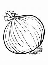 Onion Coloring Pages Colouring Vegetables Drawing Vegetable Fruits Spinach Color Kids Soup Template Stone Clipart Getdrawings Getcolorings Printable Sketch Templates sketch template