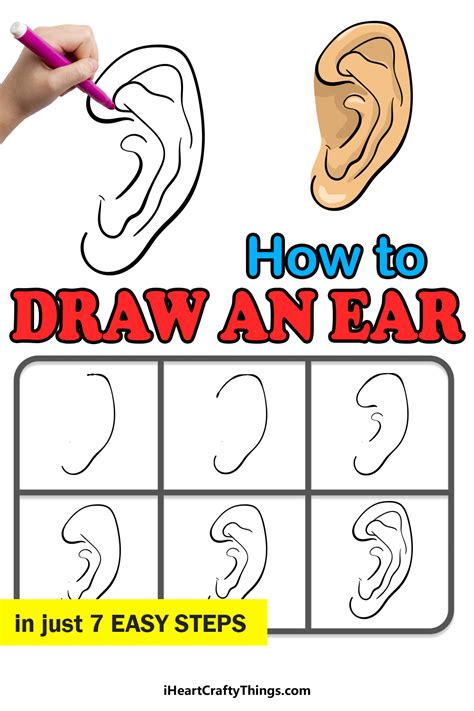ear drawing   draw  ear step  step