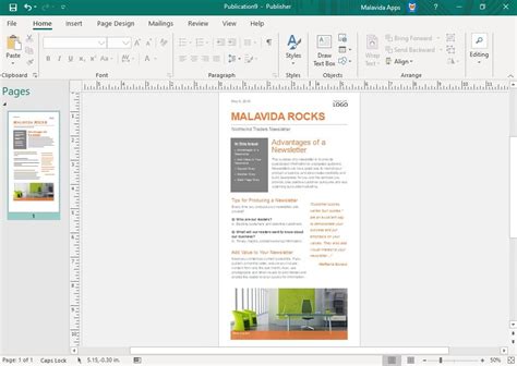 microsoft publisher borders  berrylinda