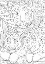 Mandala Tigers Ausmalen Ausmalbilder Sheets Detailed Favoreads Zahlen Erwachsene Coloriage Vorlagen Ausdrucken Ausmalbild Wildtiere Malvorlagen Adultos Malbuch Zeichenvorlagen Weihnachtskatzen Animais sketch template