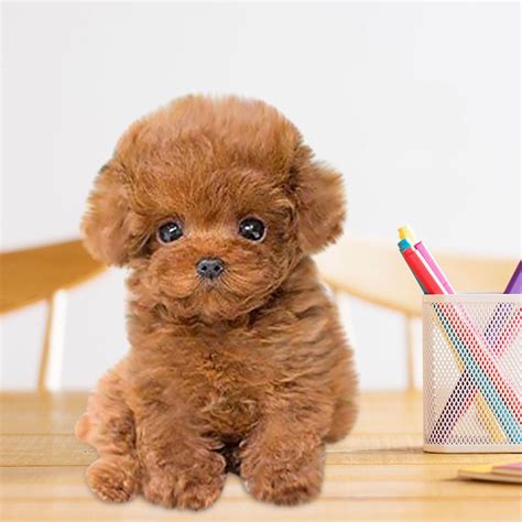 wepro realistic teddy dog lucky handmade realistic figure toy dog