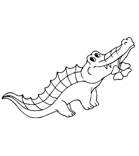 alligator printable printable word searches