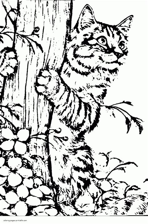 coloring pages  christmas cats subeloa
