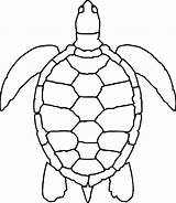 Turtle Coloring Sea Choose Board Outline sketch template