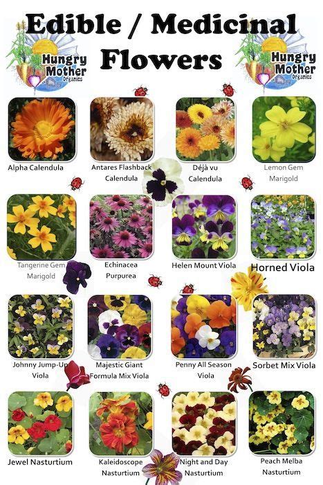 enjoy edible flowers teleflora blog list  edible flowers