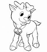 Reindeer Coloring Pages Rudolph Baby Red Nosed Printable Colouring Rudolf Cute Color Collar Cartoon Drawing Christmas Print Nose Jingle Bell sketch template