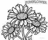 Sunflower Printable Coloring Color Clipart Pages Kids Library sketch template