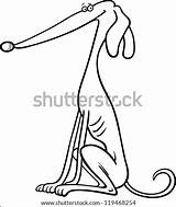 Greyhound Purebred Coloring Dog Illustration Cartoon Funny Book Shutterstock Search sketch template