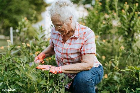 Senior Woman Tending To Her Garden Premium Image By
