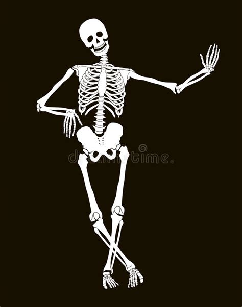 skeleton stock vector illustration of people cartoon