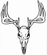 Deer Skull Drawing Tattoo Buck Clipart Coloring Head Designs Antlers Outline Pages Tattoos Stencil Antler Face Simple Clip Whitetail Color sketch template