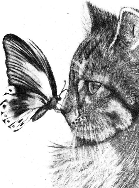 dibujos  lapiz de gatos tiernos imagui