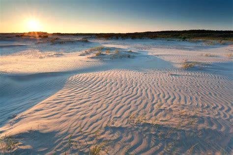 sunrise  sand dunes stock image image  view contrast