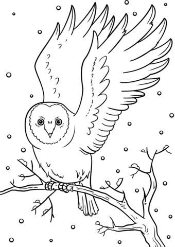 click   printable version  winter owl coloring page owl
